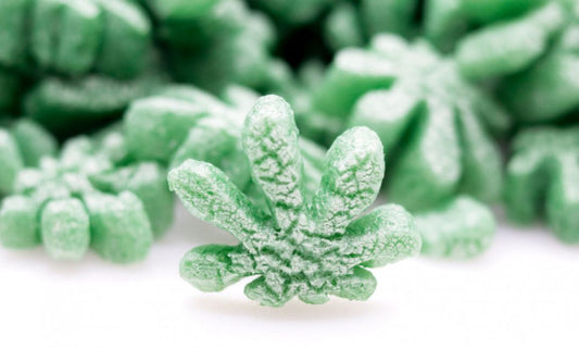4 Sustainable Changes for an Eco-Friendly Business