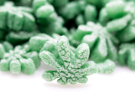 FunPak® Biodegradable Cannabis Leaf Shaped Packaging
